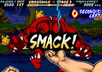 image de The First Funky Fighter